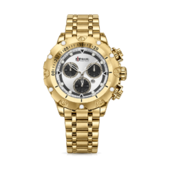 Gold-Tone Watch with Silver Dial